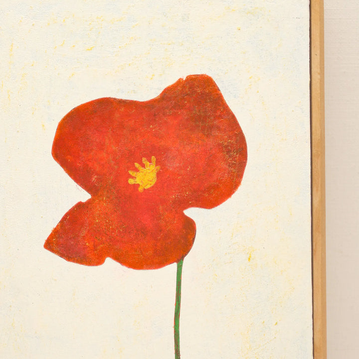 A single red poppy No._