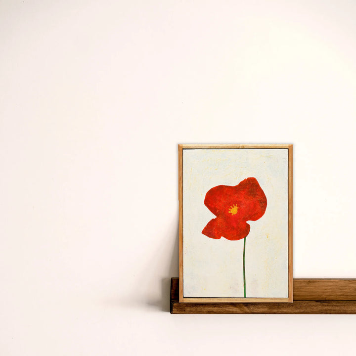 A single red poppy No._