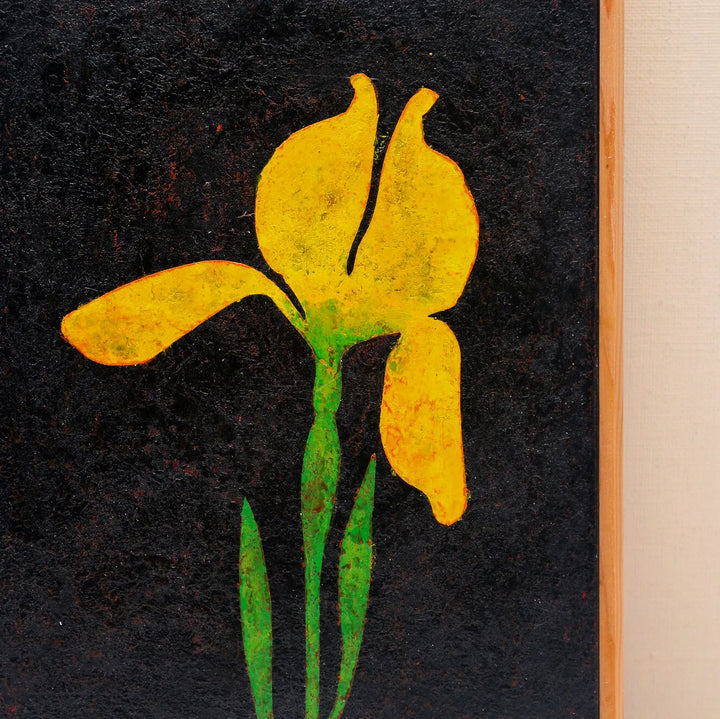 A single yellow iris No.241